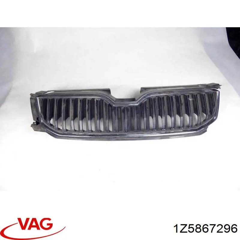 1Z5867296 VAG 