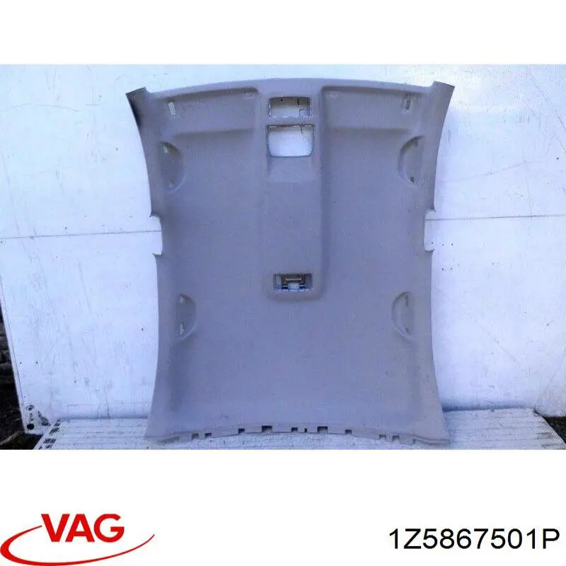 1Z5867501P VAG Оббивка кузова