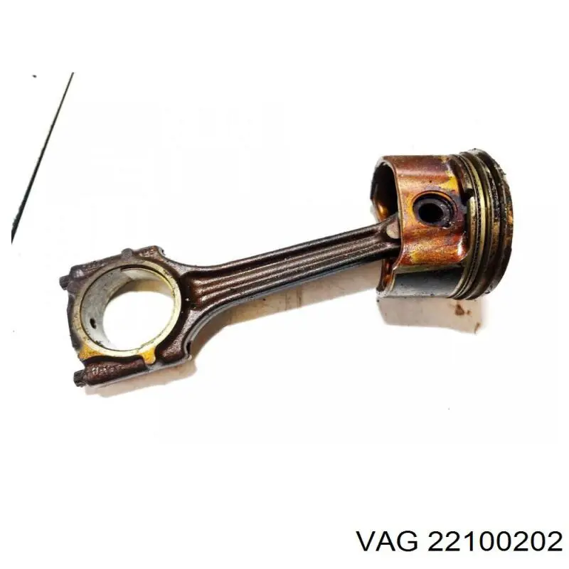  22100202 VAG