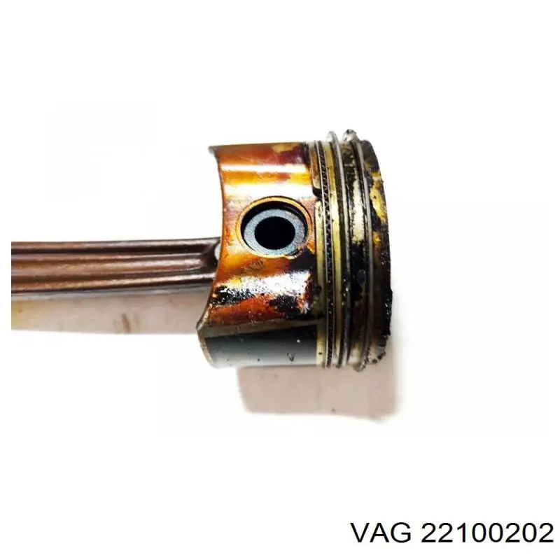22100202 VAG 