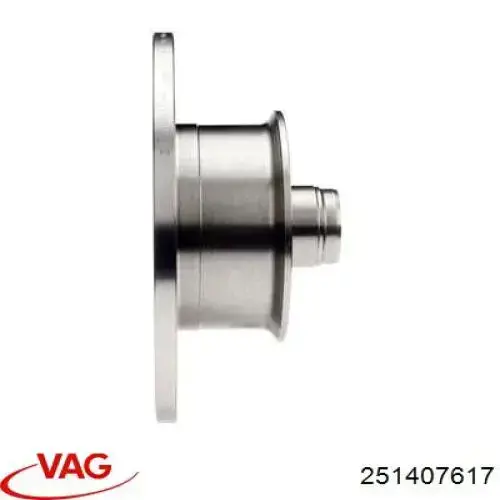 Купити 251407617 VAG Ротор гальмівний