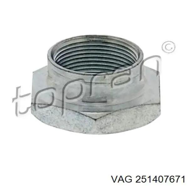Купити 251407671 VAG Гайка маточини передньої