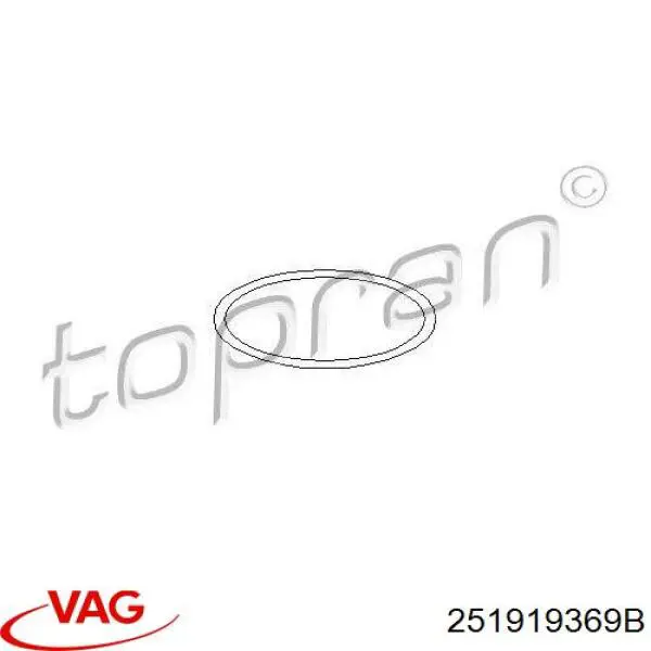 Датчик температури охолоджуючої рідини 251919369B VAG