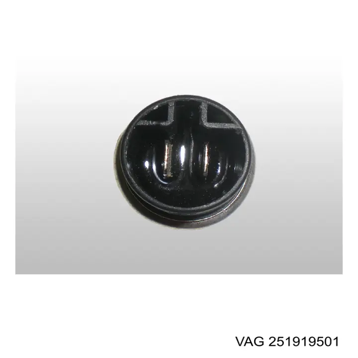 251919501 VAG Покажчик температури охолоджуючої рідини