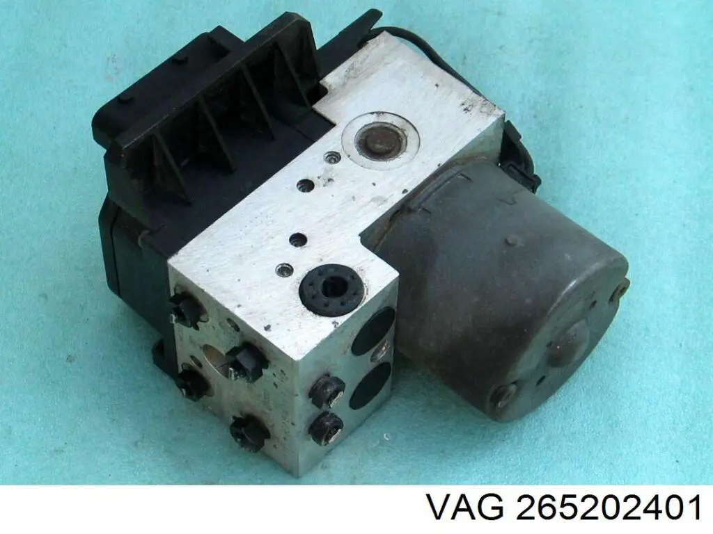 265202401 VAG 