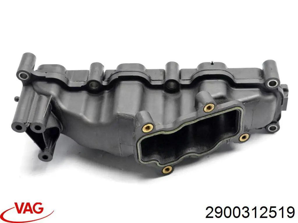 2900312519 VAG 