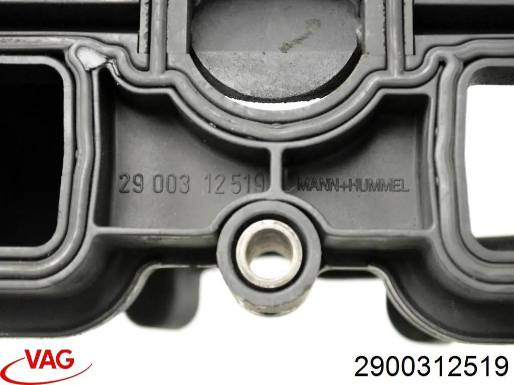  2900312519 VAG