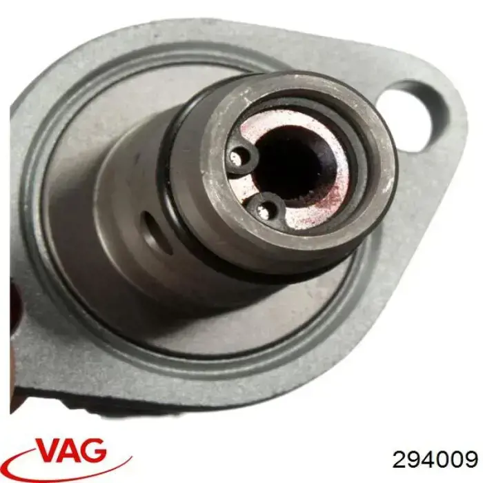 294009 VAG 