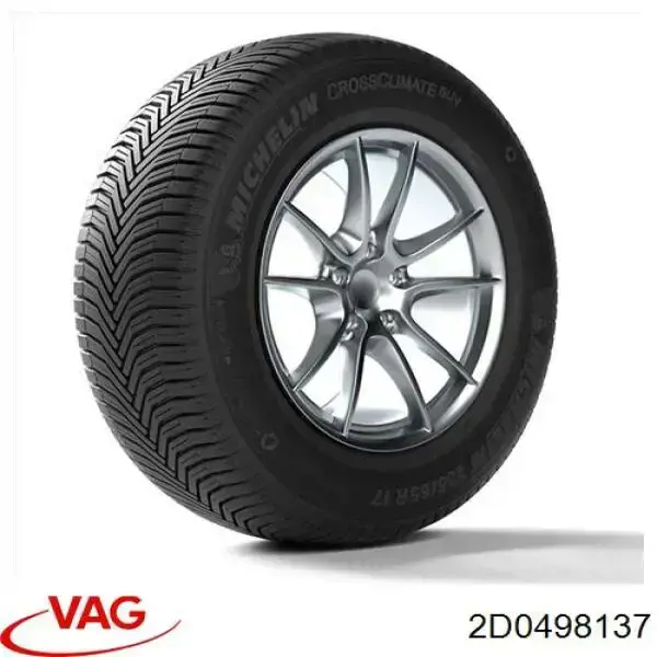 2D0498137 VAG 