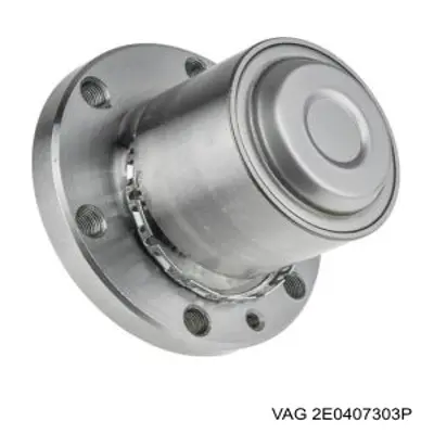 Цапфа поворотного кулака VAG 2E0407303P ціна, від 38.00 USD