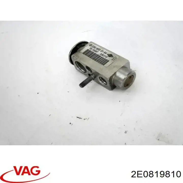 2E0819810 VAG 