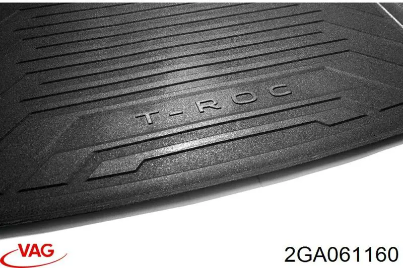 2GA061160 VAG 
