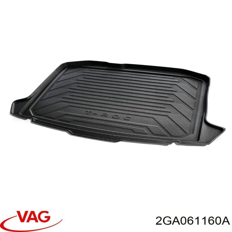 2GA061160A VAG 