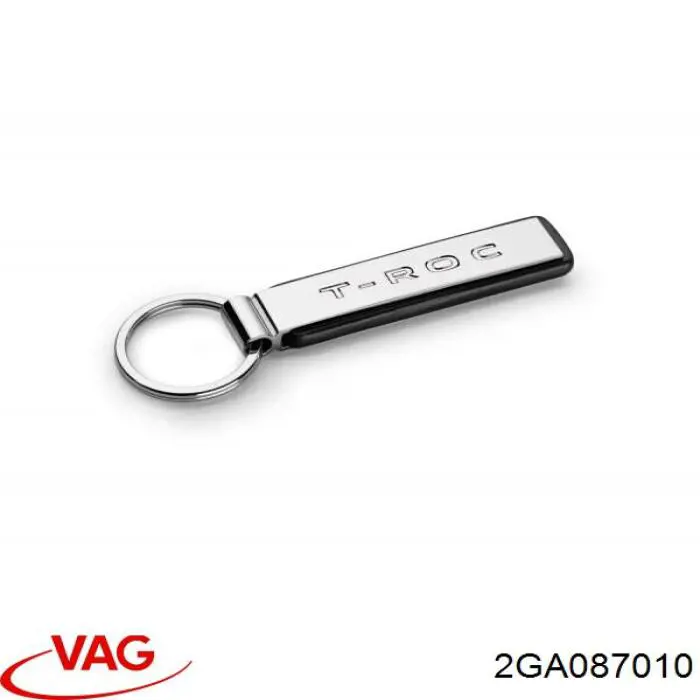 2GA087010 VAG 