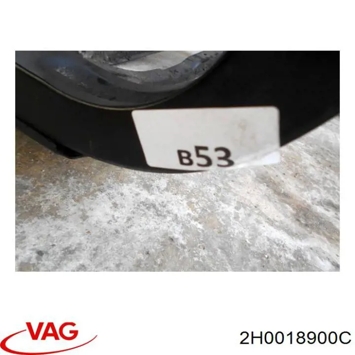 2H0018900C VAG 
