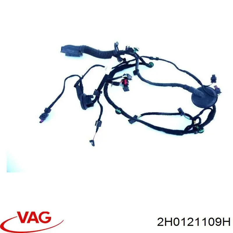  2H0121109H VAG