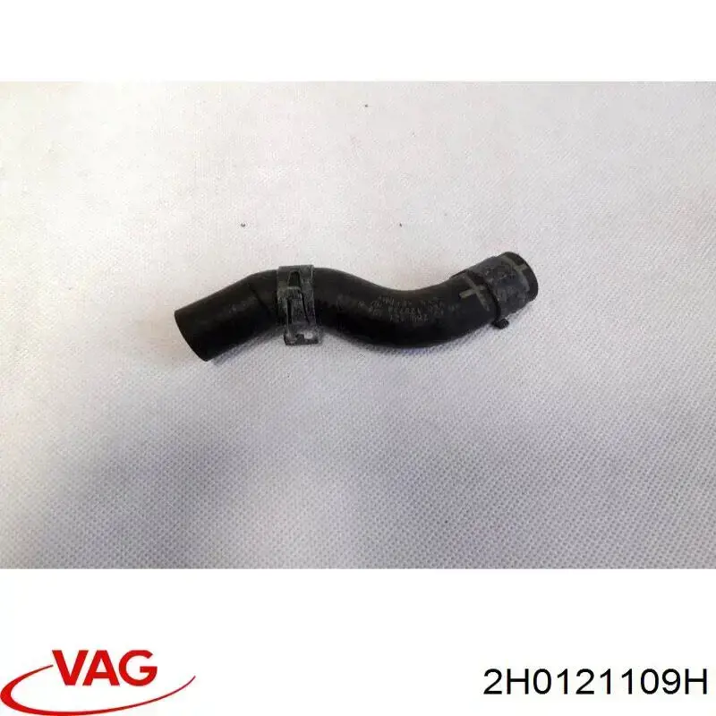 2H0121109H VAG 