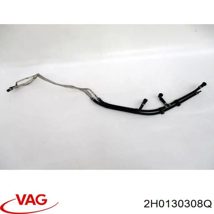 2H0130308Q VAG 