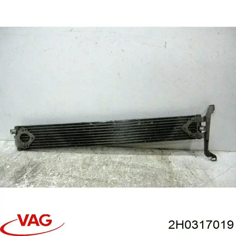  2H0317019 VAG