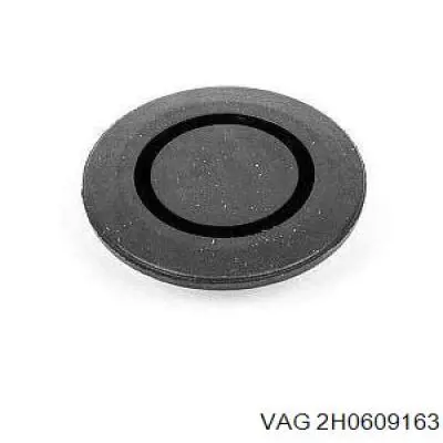 2H0609163 VAG 