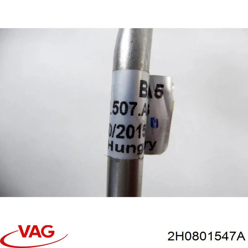 Подушка рами (кріплення кузова) VAG 2H6801547