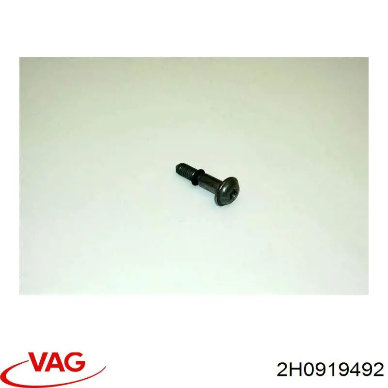 2H0919492 VAG 