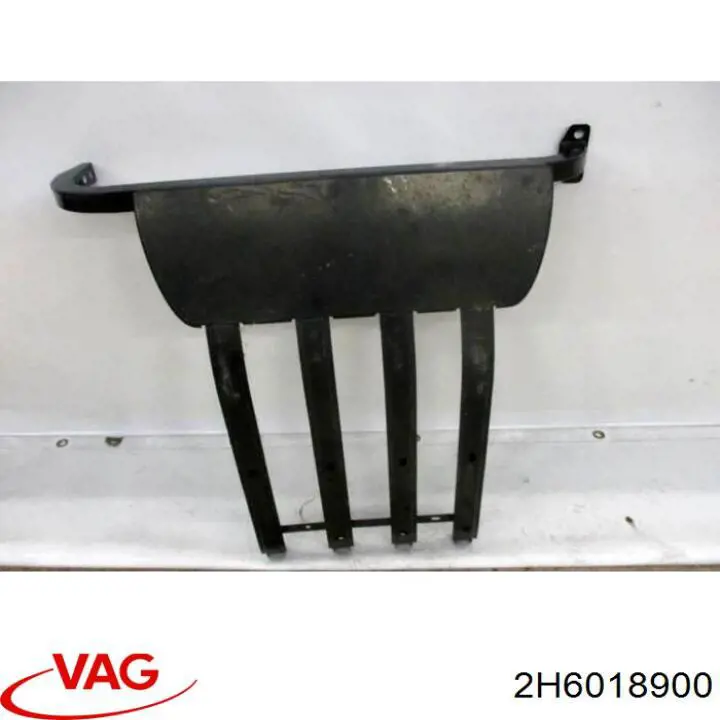 2H6018900 VAG 