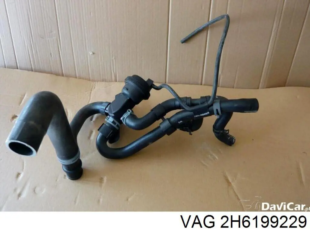 2H6199229 VAG 