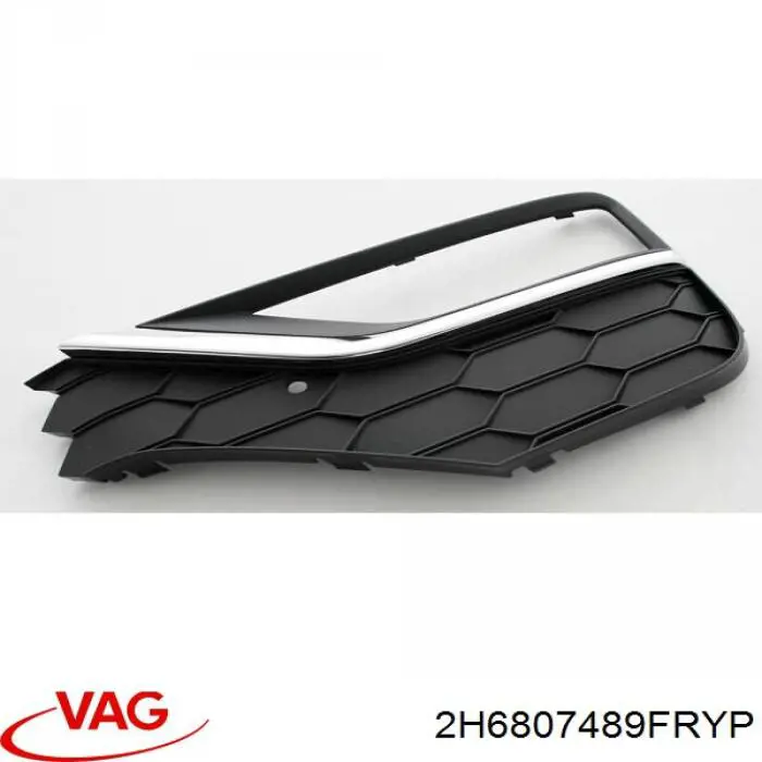 2H6807489FRYP VAG 