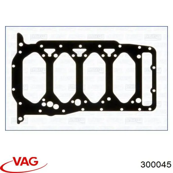 300045 VAG 