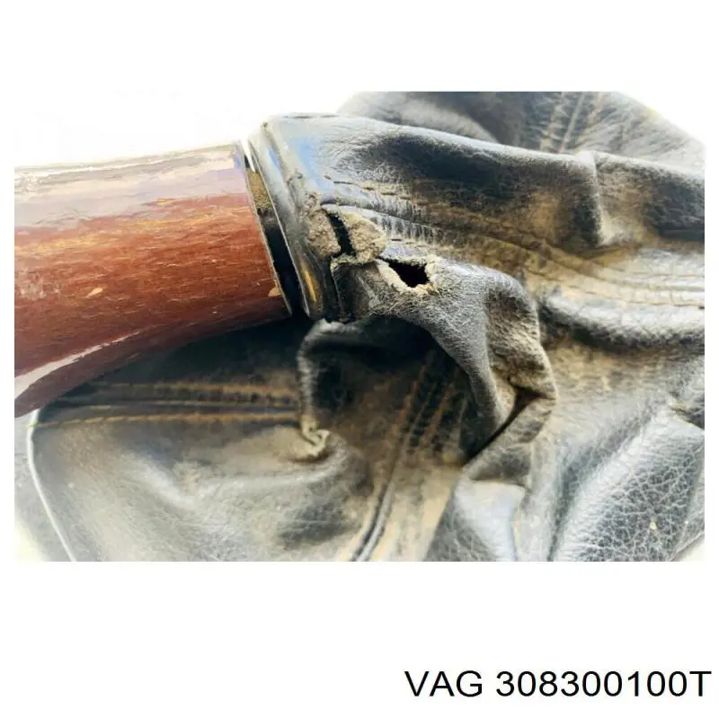  VAG 308300100T