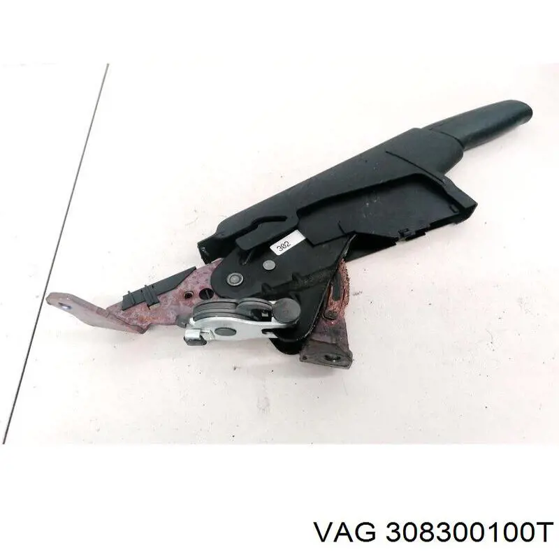308300100T VAG 