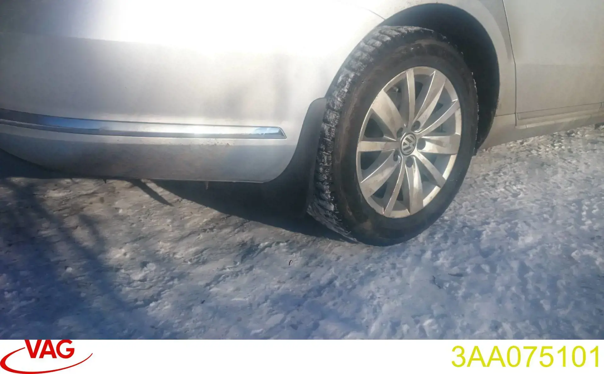 Купити 3AA075101 VAG Бризковики задніх арок