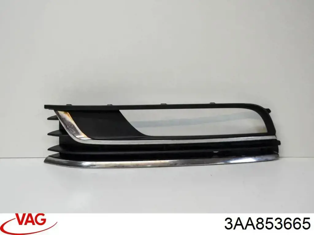 Молдинг переднього бампера, лівий VAG 3AA853665 ціна, від 14.11 USD