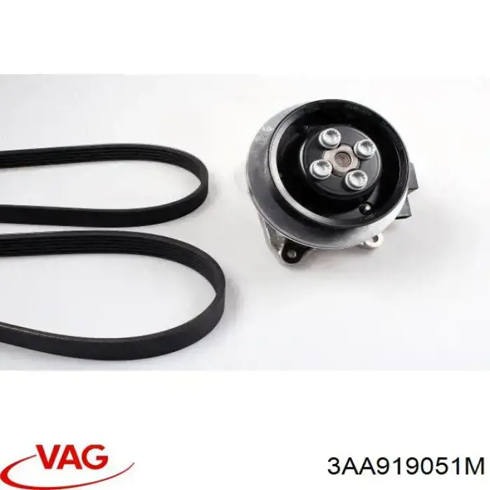 Паливний насос VAG 3AA919051M