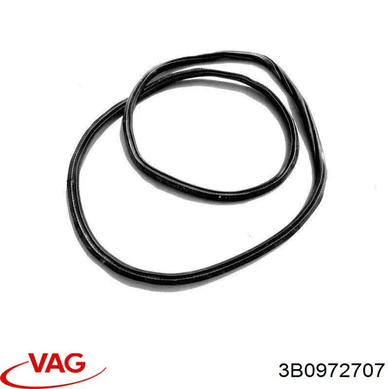  VAG 3B0972707