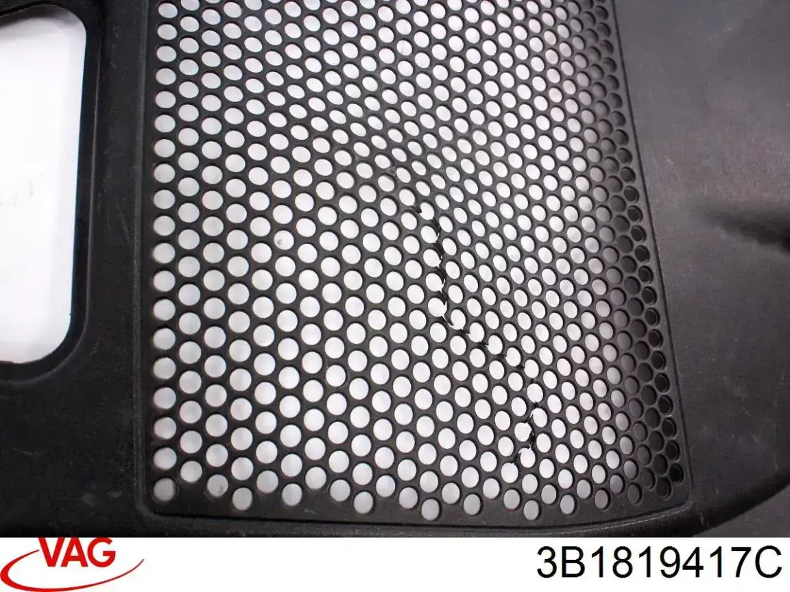 3B1819417C VAG 