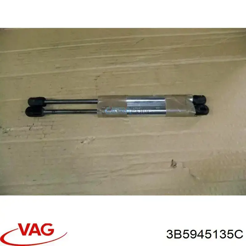  3B5945135C VAG