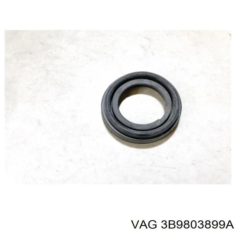  3B9803899A VAG