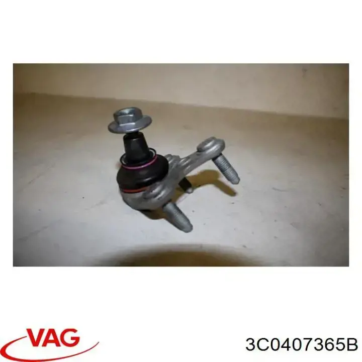 Купити 3C0407365B VAG Кульова опора, нижня, ліва