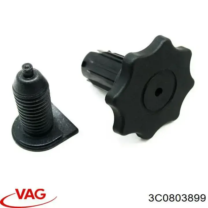 3C0803899 VAG Болт