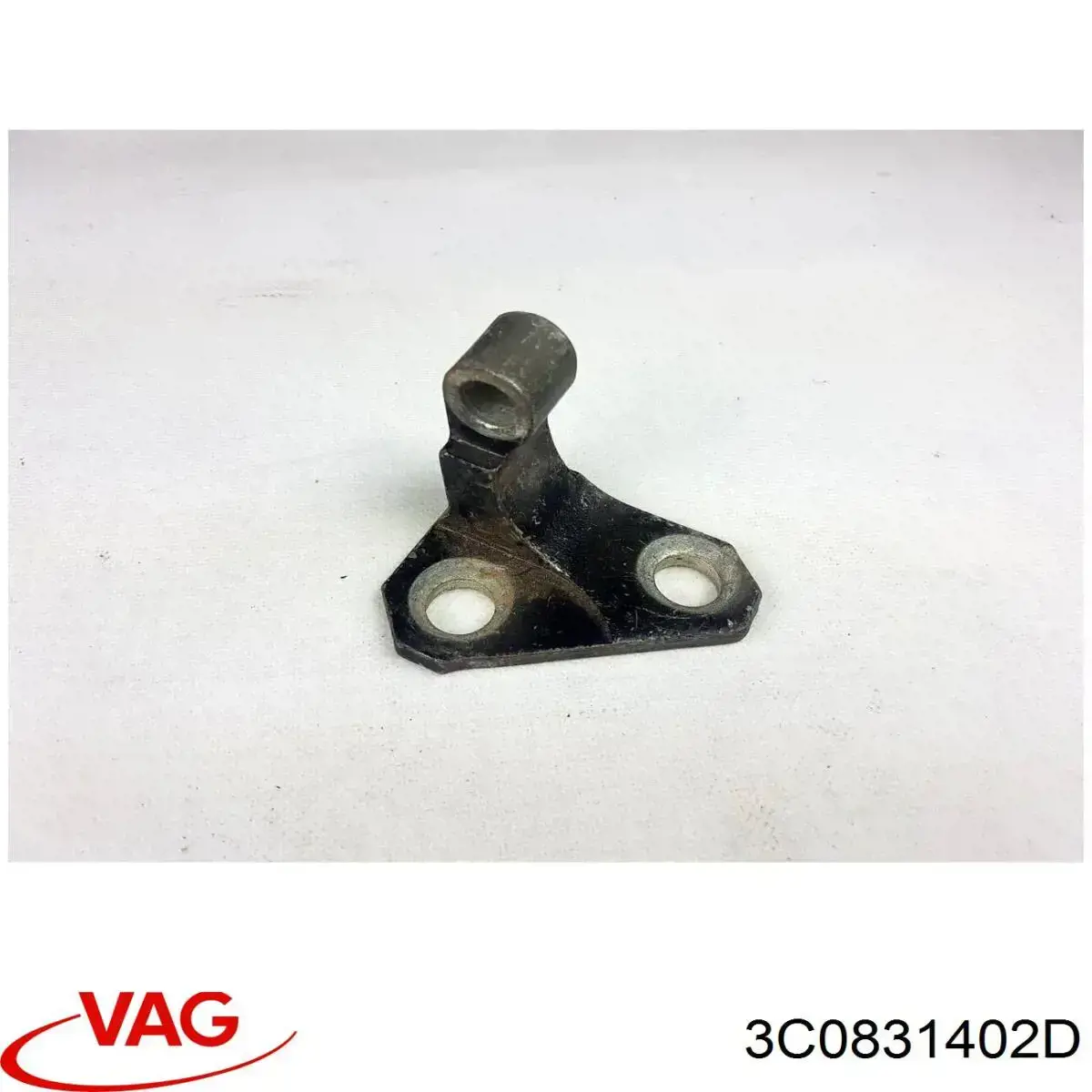 Дверний шарнір правий передній VAG 3C0831402D