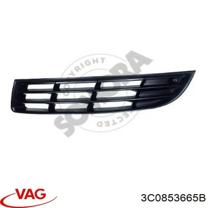 Решітка переднього бампера, ліва VAG 3C0853665B ціна, від 8.87 USD
