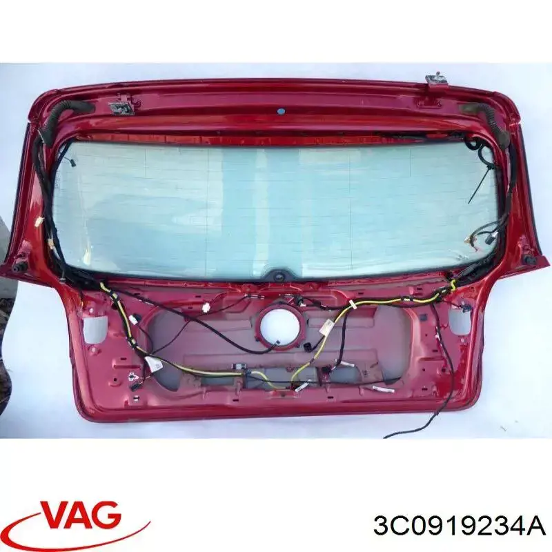 VAG 3C0919234A