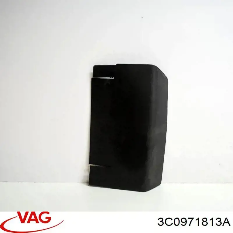 3C0971813A VAG 