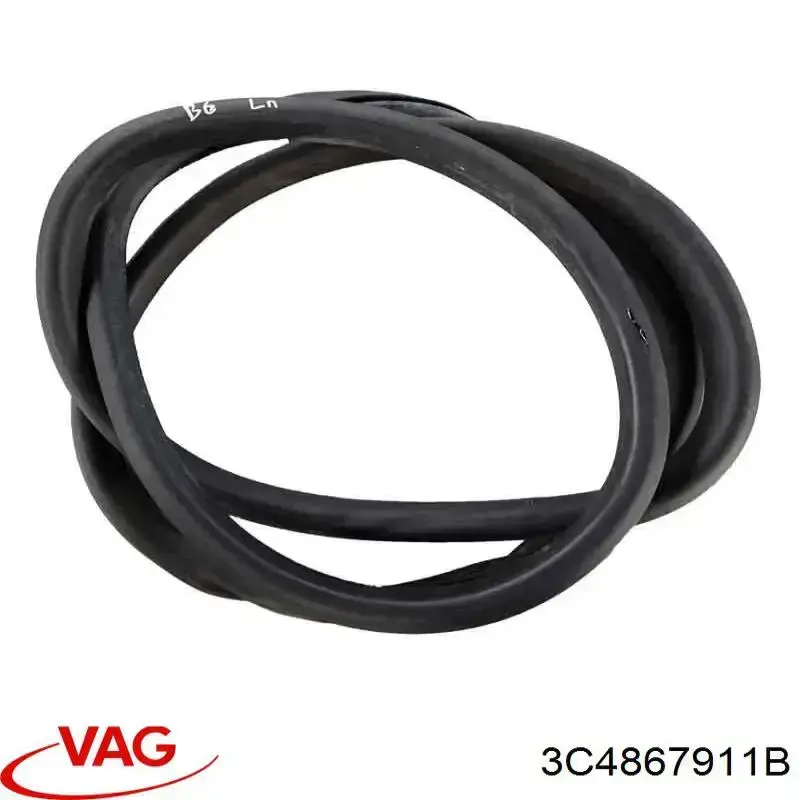  3C4867911B VAG