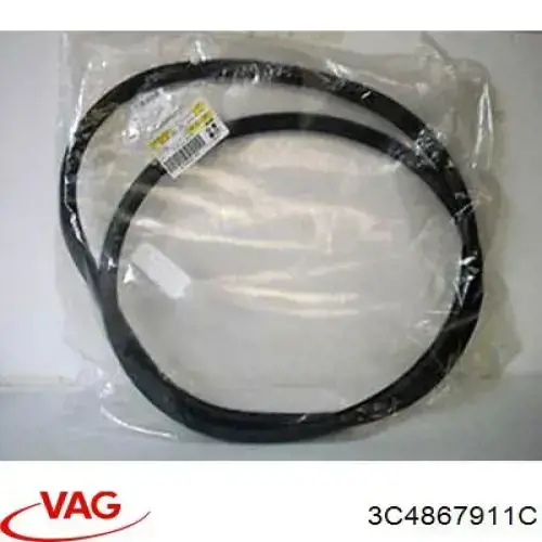 Купити 3C4867911C VAG Ущільнювач двері задньої (на кузові)