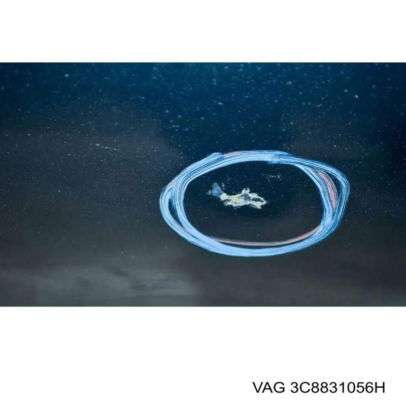 Двері праві передні 3C8831056H VAG
