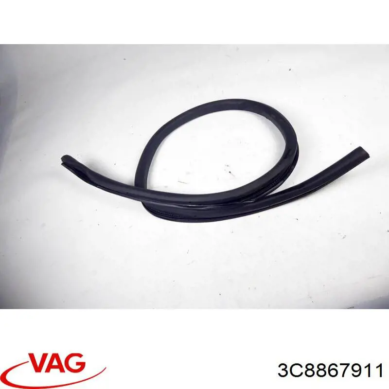 3C8867911 VAG 