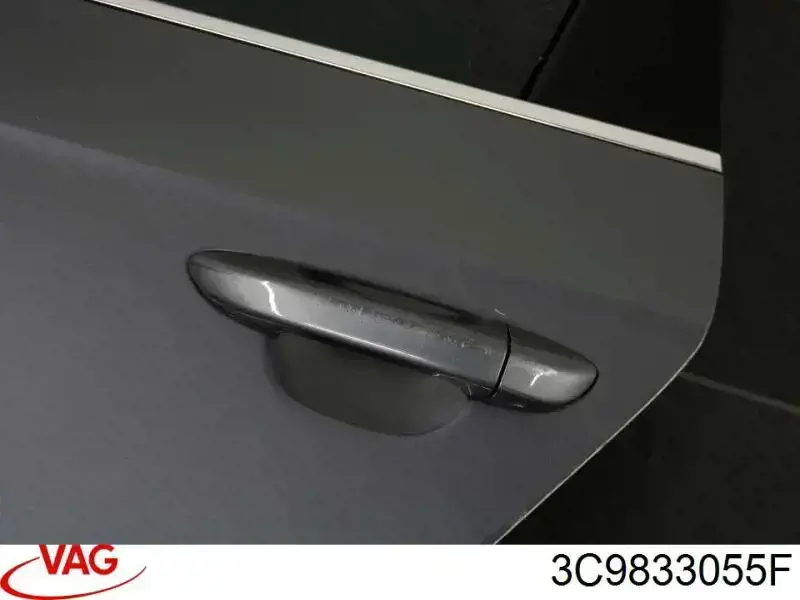 Двері задні, ліві 3C9833055F VAG